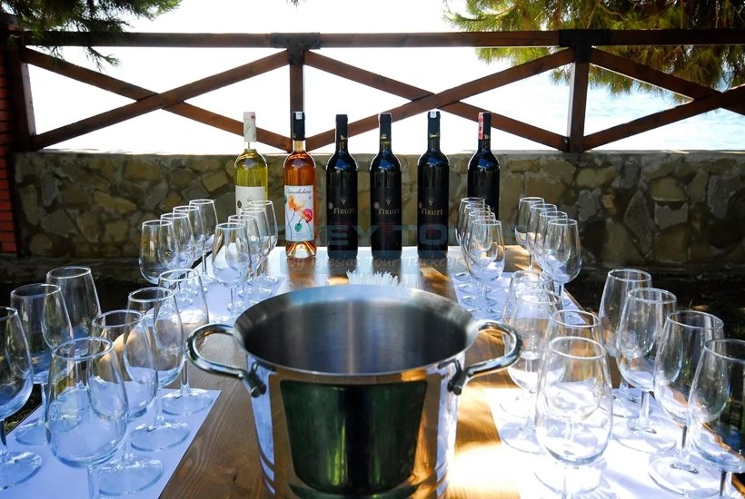 Ephesus & Wine Tasting with Local Snacks